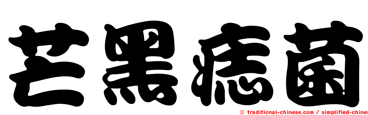 芒黑痣菌