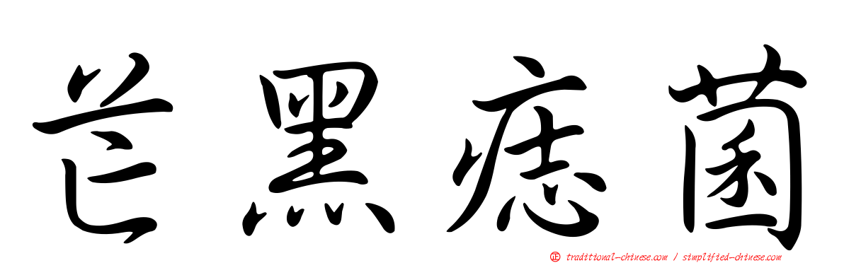 芒黑痣菌