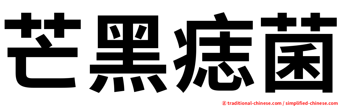 芒黑痣菌
