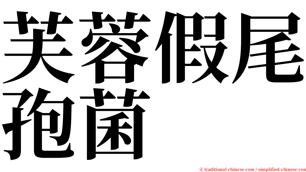 芙蓉假尾孢菌 serif font