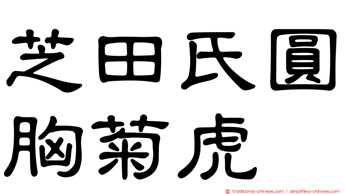 芝田氏圓胸菊虎