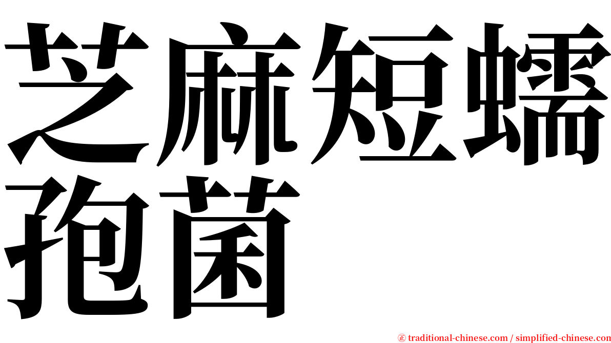 芝麻短蠕孢菌 serif font