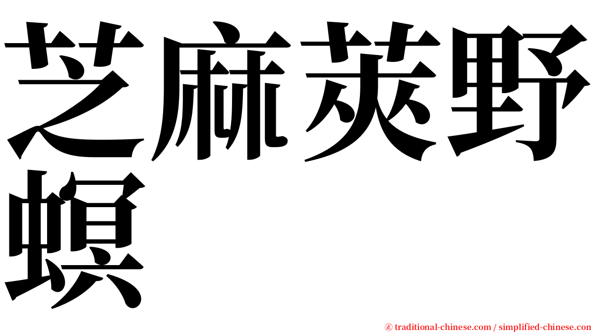 芝麻莢野螟 serif font