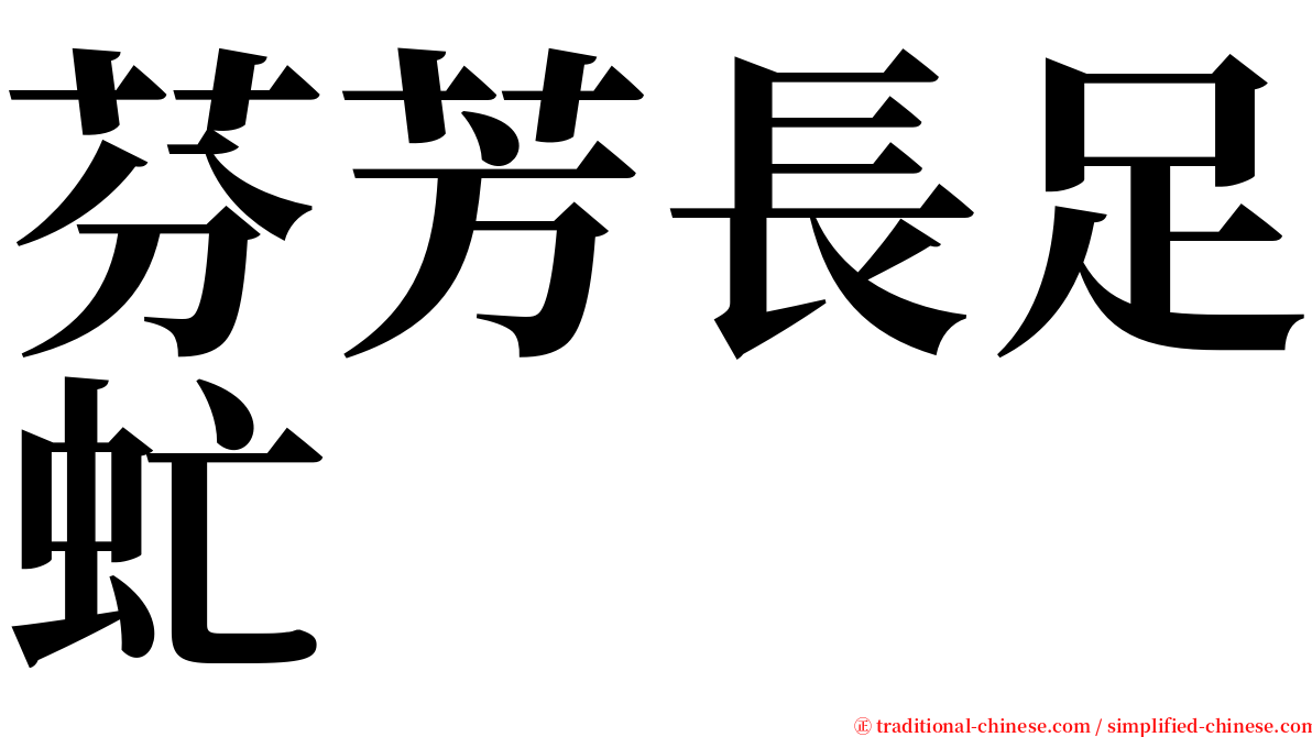 芬芳長足虻 serif font