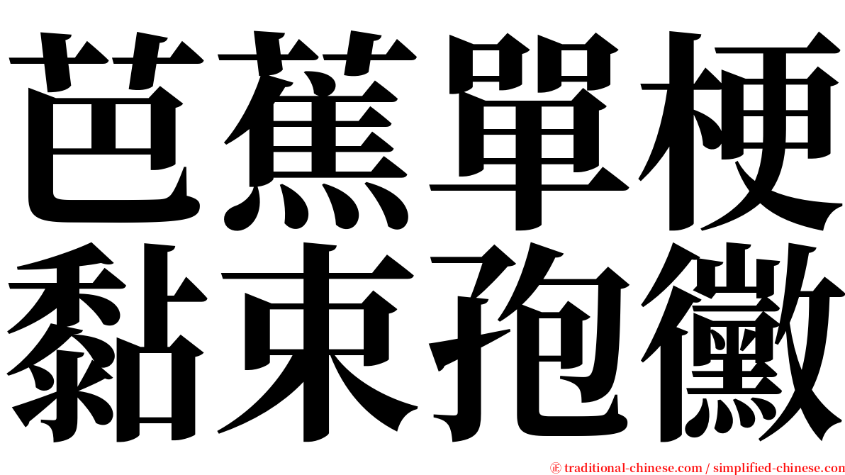 芭蕉單梗黏束孢黴 serif font