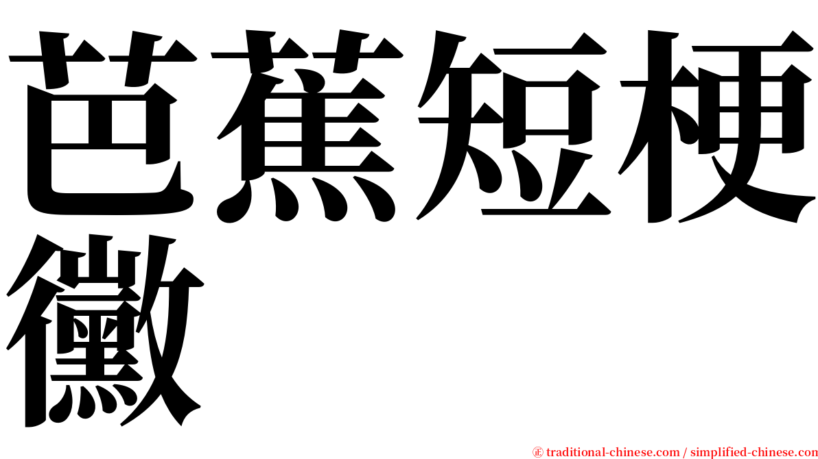 芭蕉短梗黴 serif font