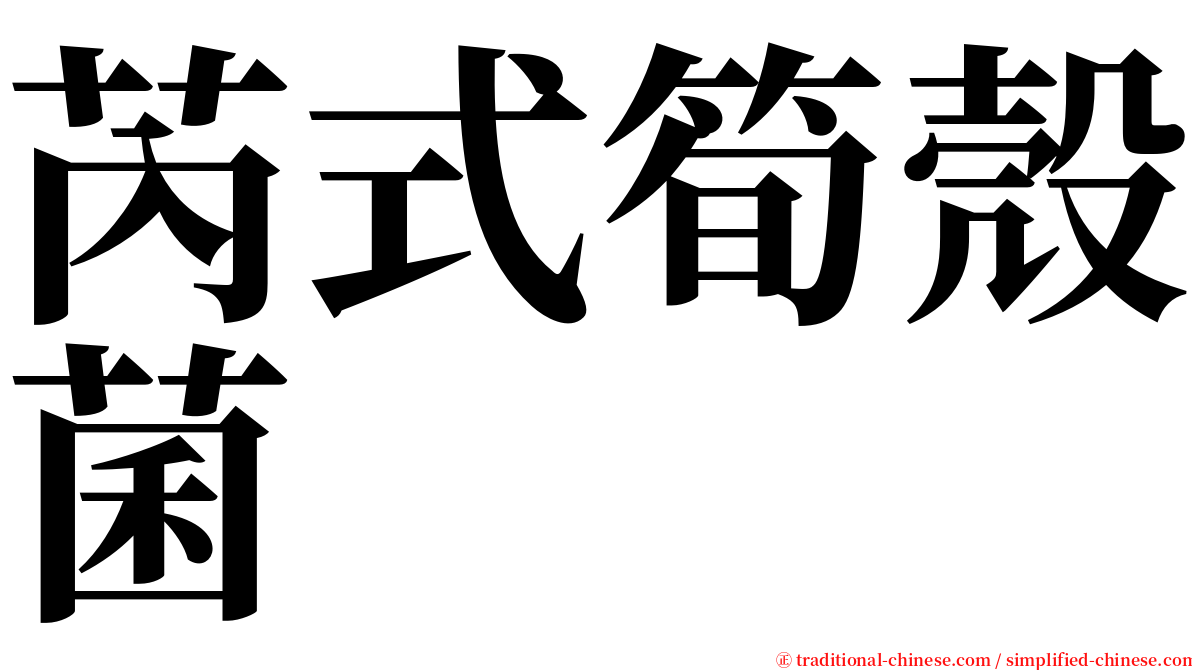 芮式筍殼菌 serif font