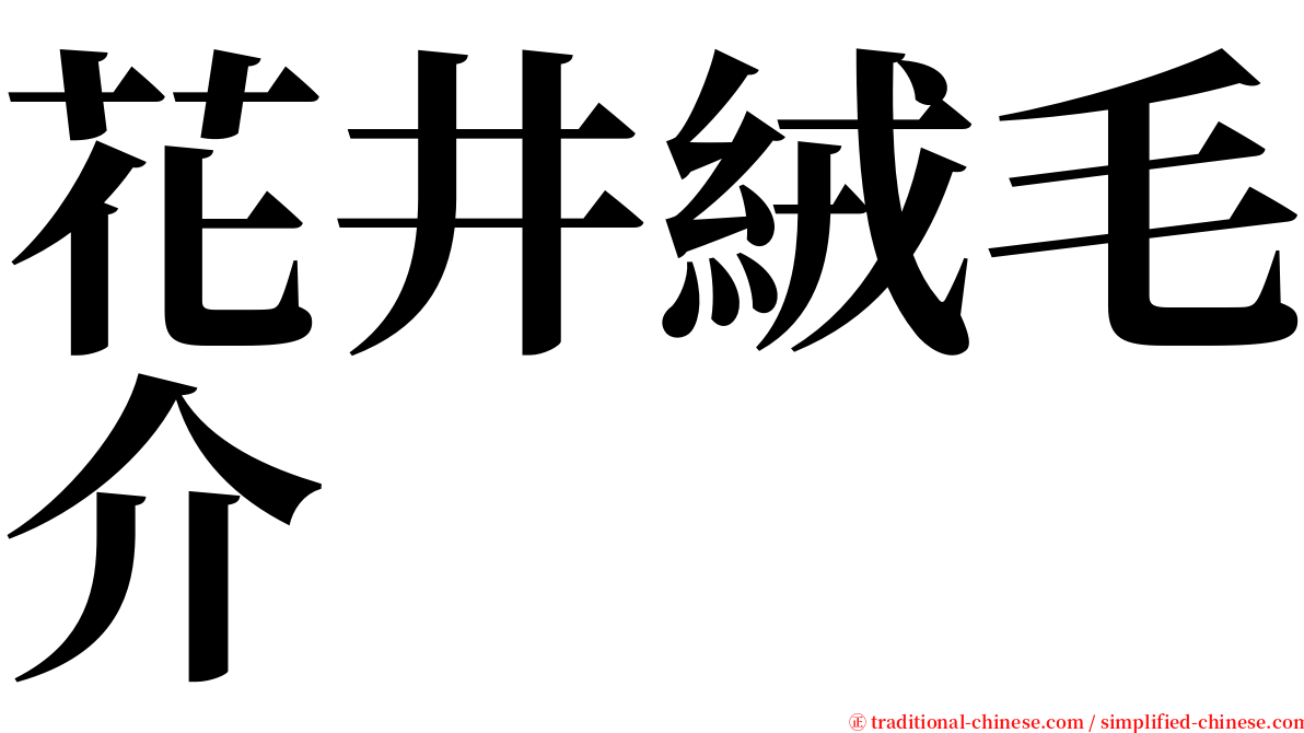 花井絨毛介 serif font