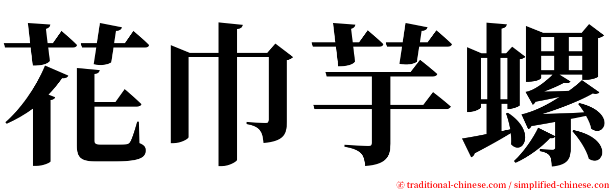 花巾芋螺 serif font