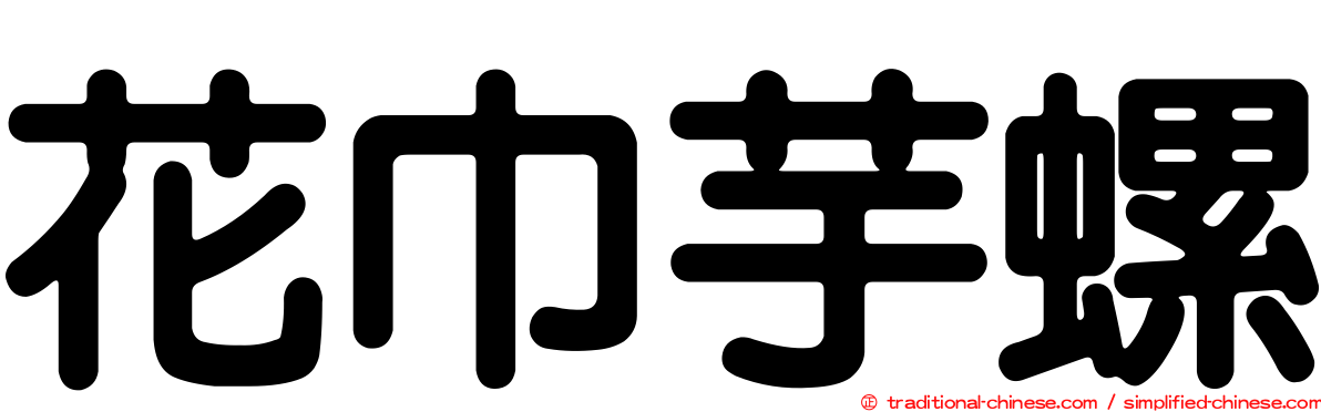 花巾芋螺