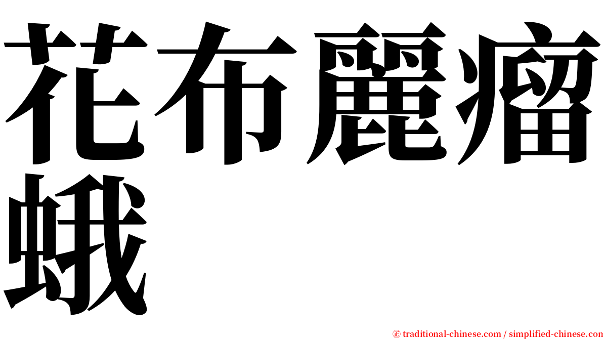 花布麗瘤蛾 serif font