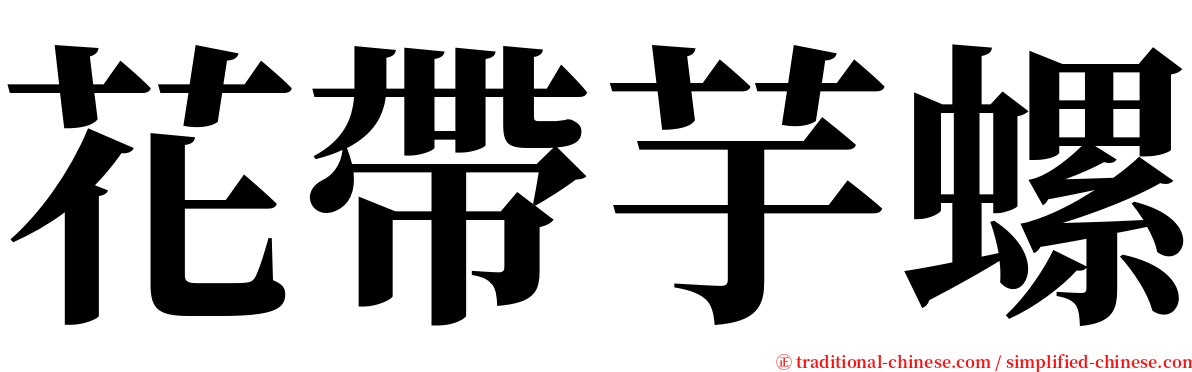 花帶芋螺 serif font