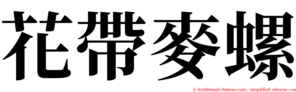 花帶麥螺 serif font