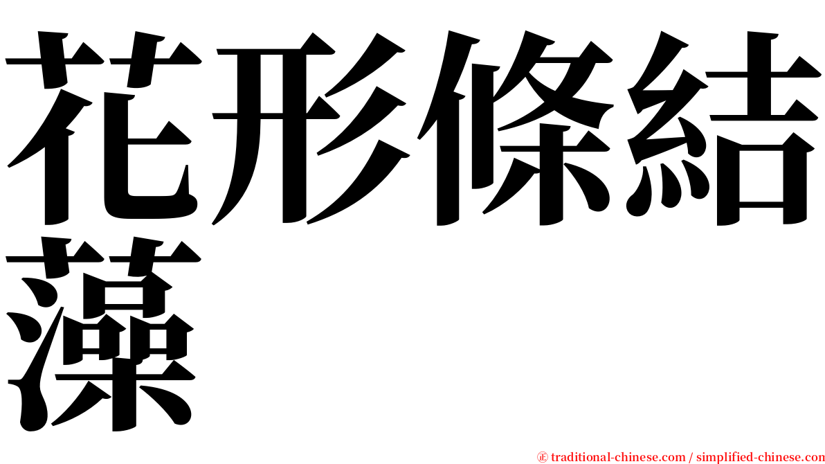 花形條結藻 serif font