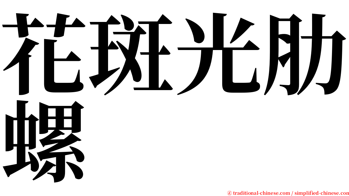 花斑光肋螺 serif font