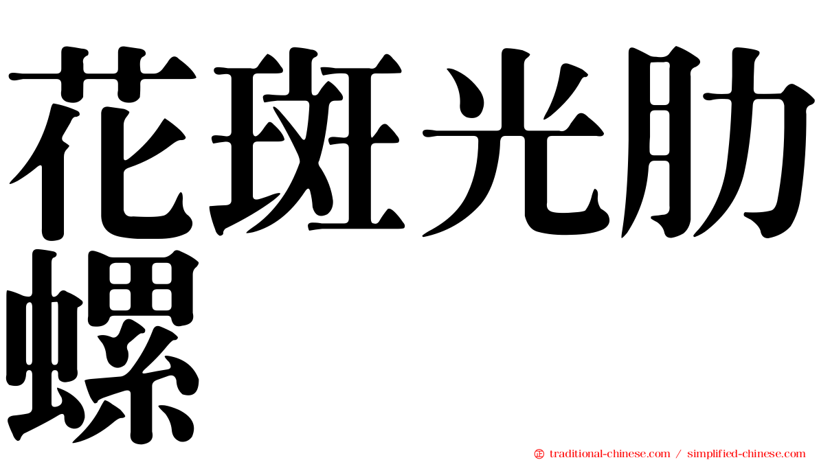 花斑光肋螺