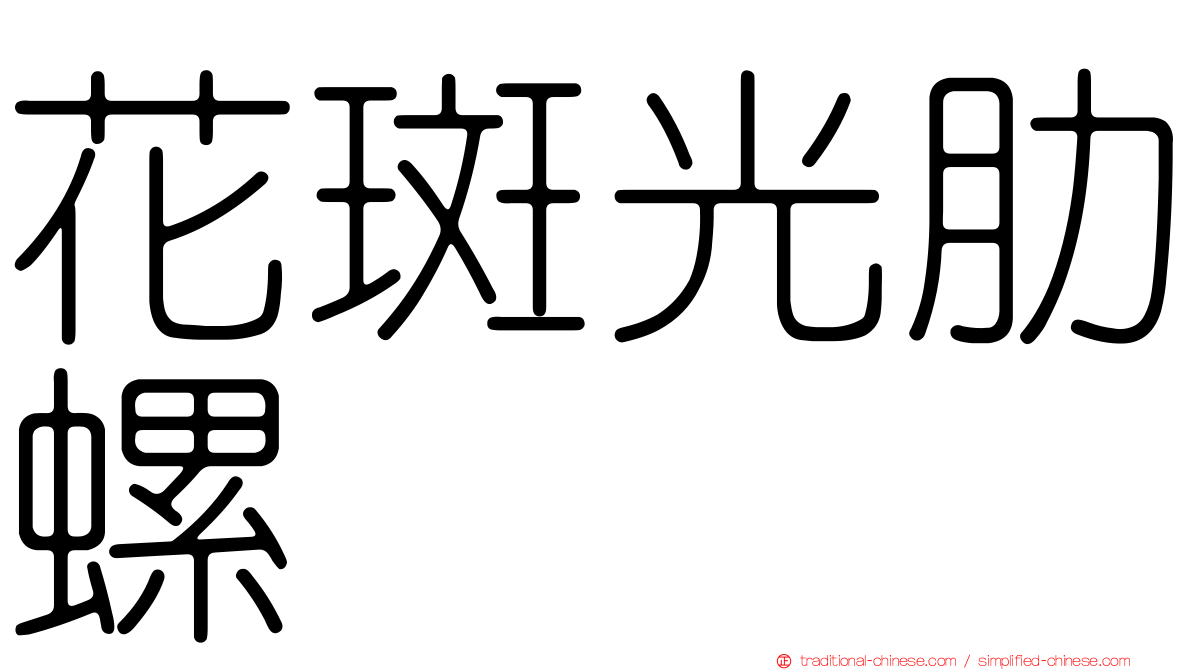 花斑光肋螺