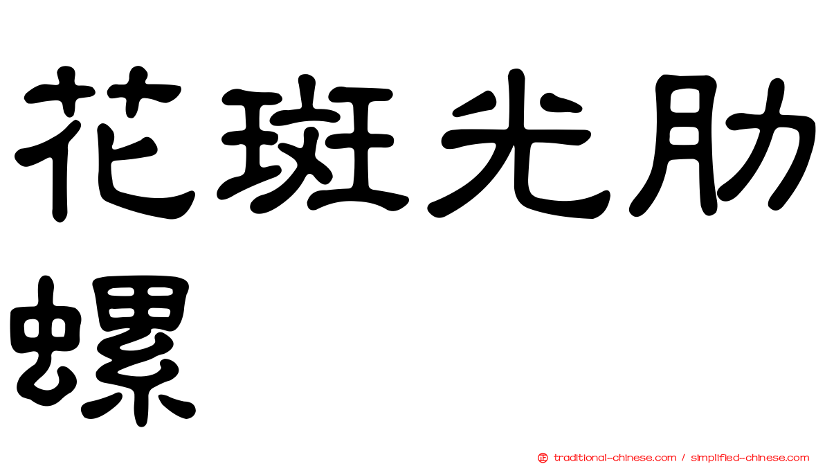 花斑光肋螺