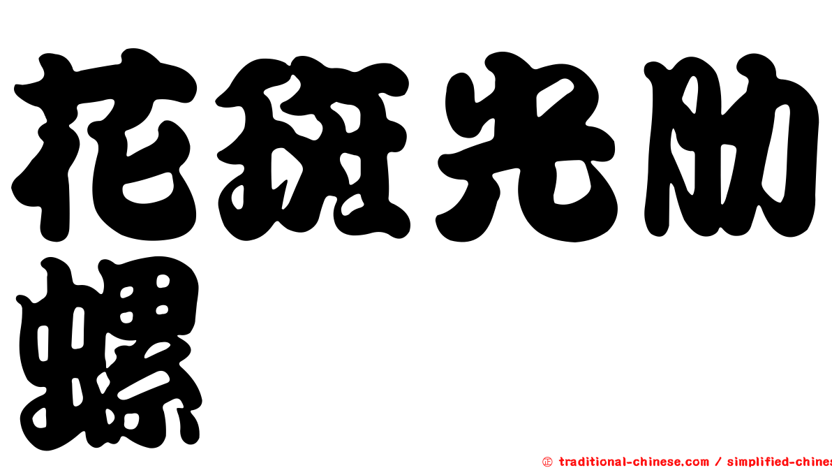 花斑光肋螺