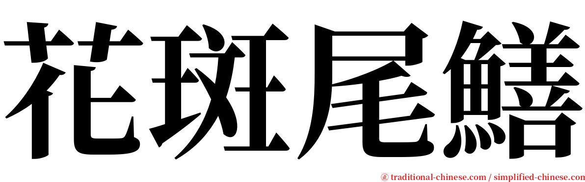 花斑尾鱔 serif font