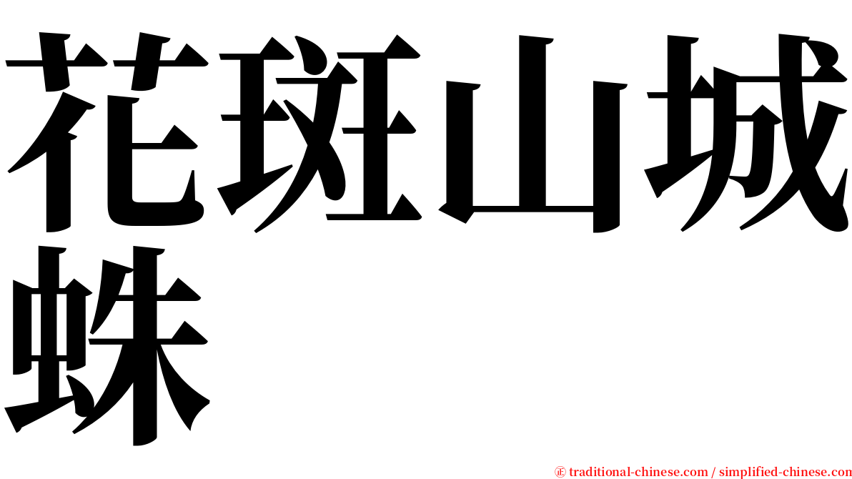 花斑山城蛛 serif font