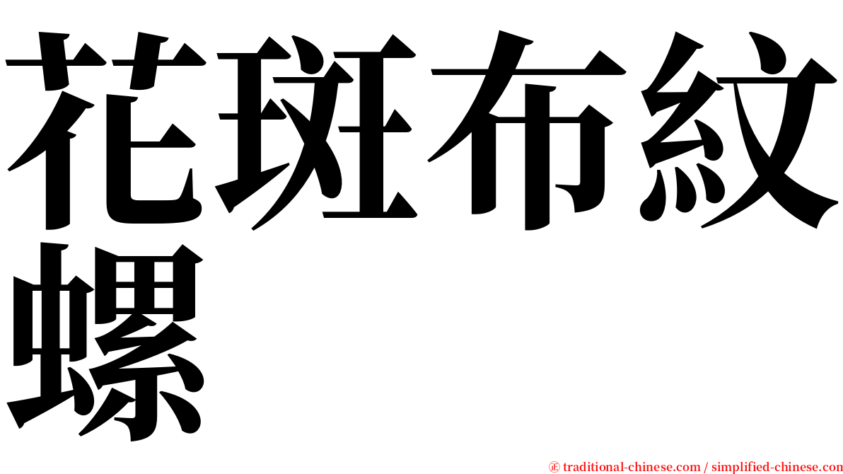 花斑布紋螺 serif font