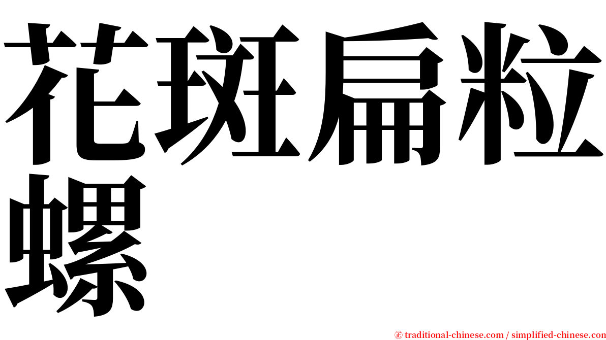 花斑扁粒螺 serif font