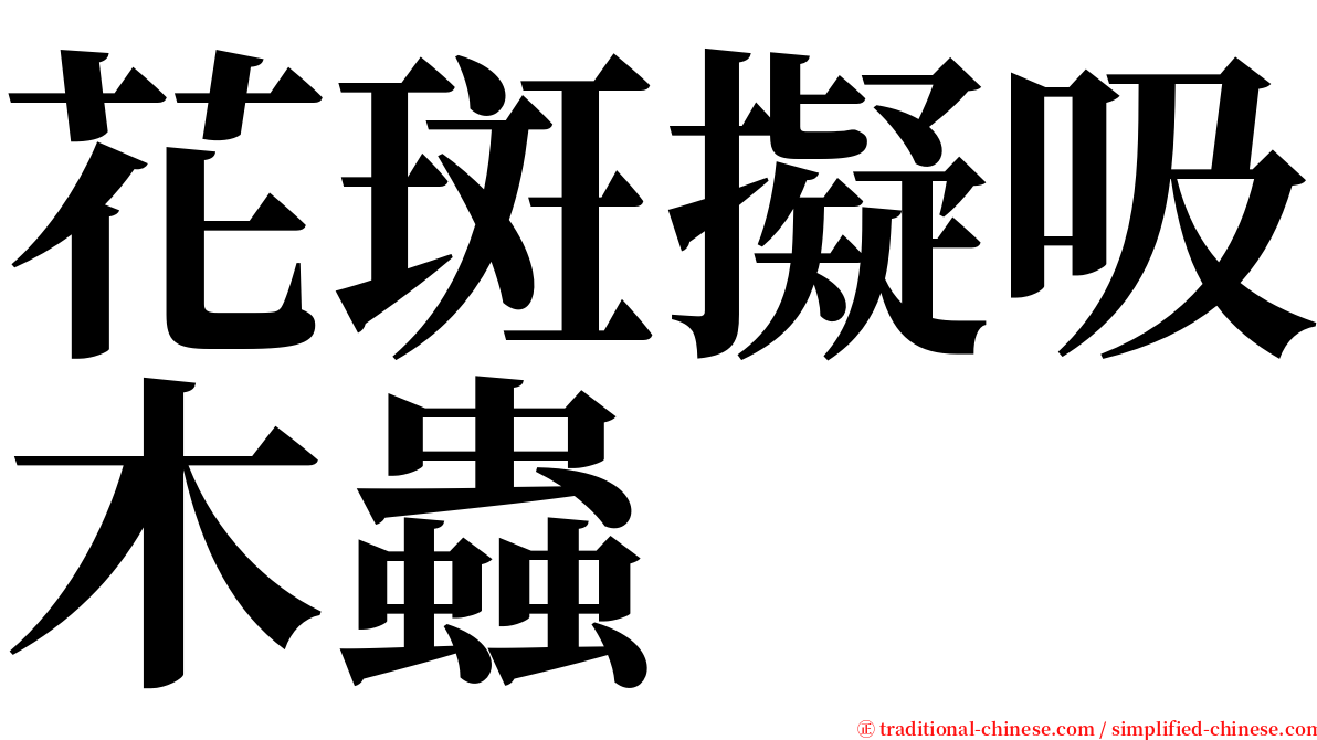 花斑擬吸木蟲 serif font