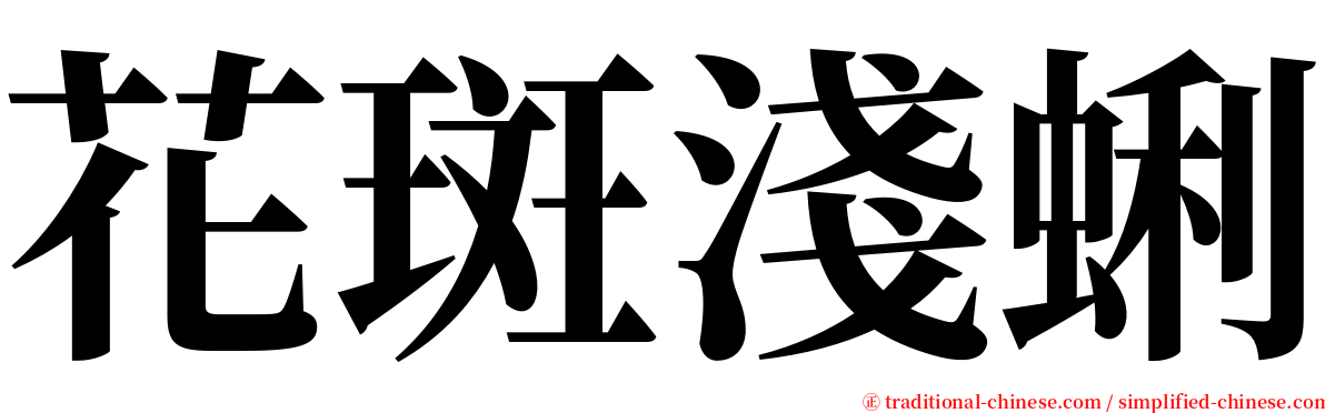 花斑淺蜊 serif font