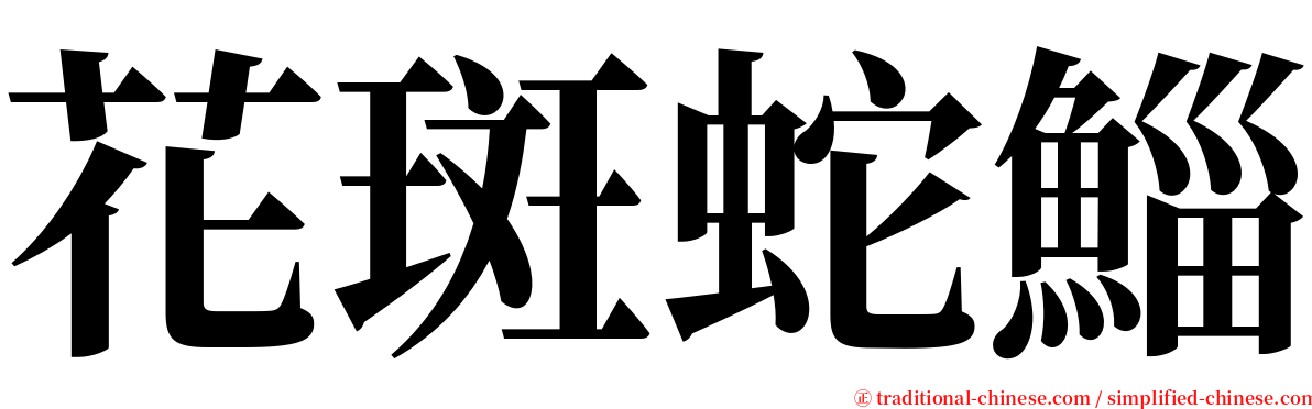 花斑蛇鯔 serif font