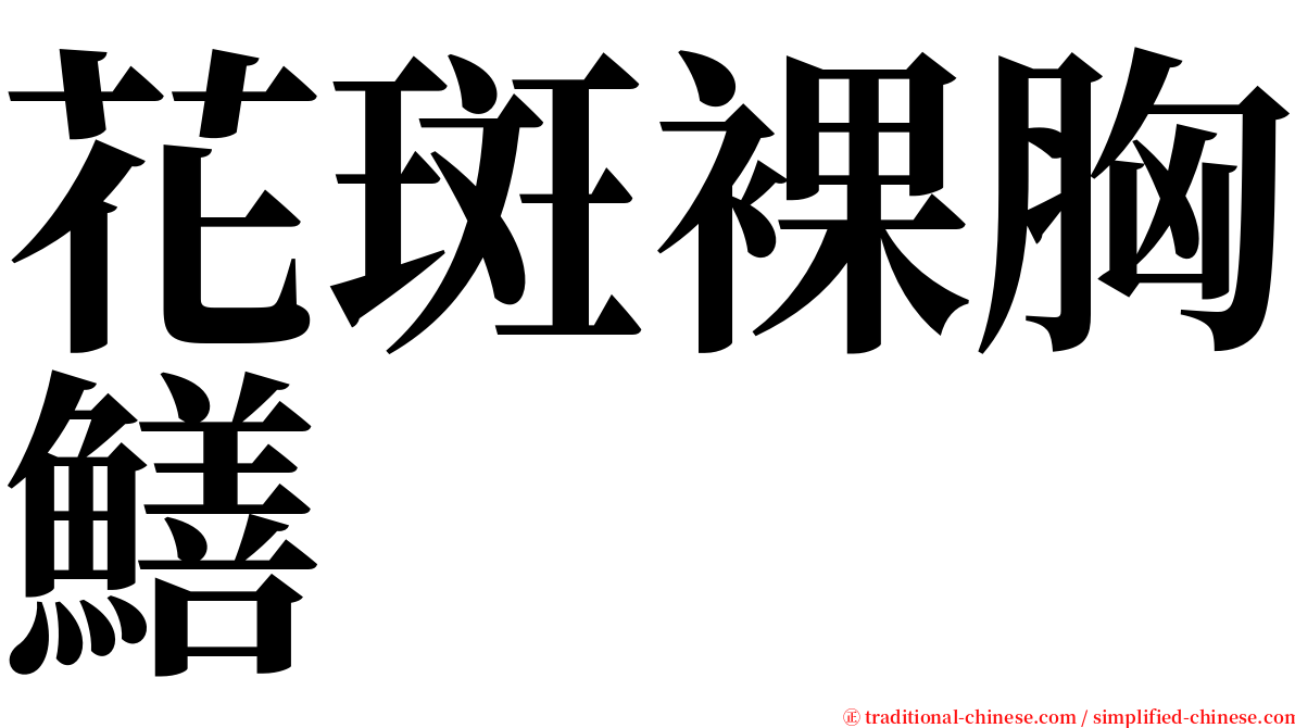 花斑裸胸鱔 serif font