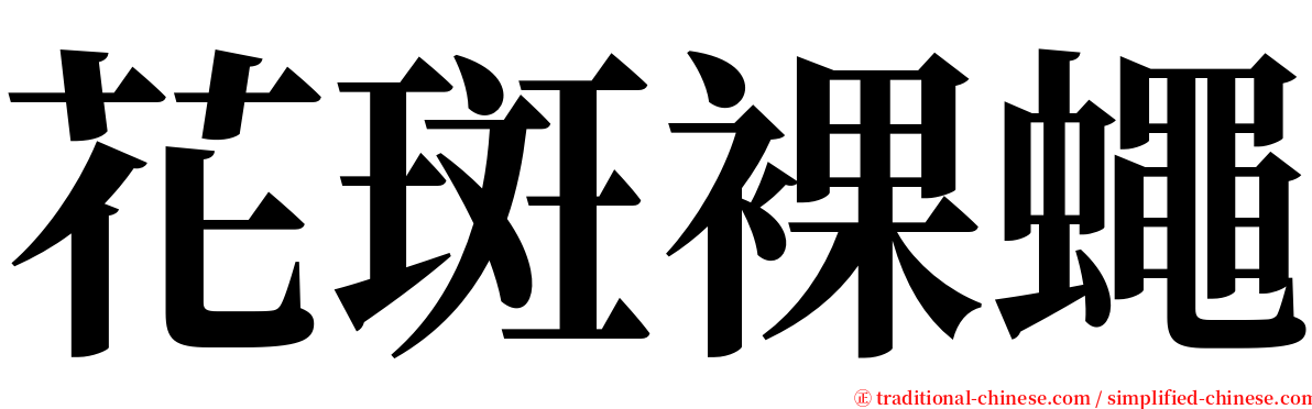 花斑裸蠅 serif font