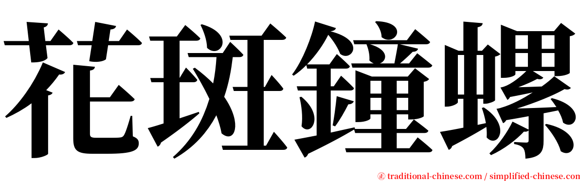 花斑鐘螺 serif font