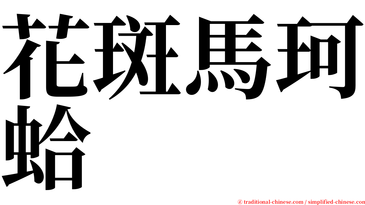 花斑馬珂蛤 serif font