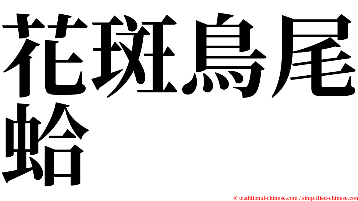 花斑鳥尾蛤 serif font