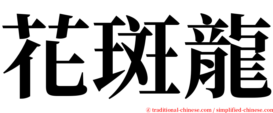 花斑龍 serif font