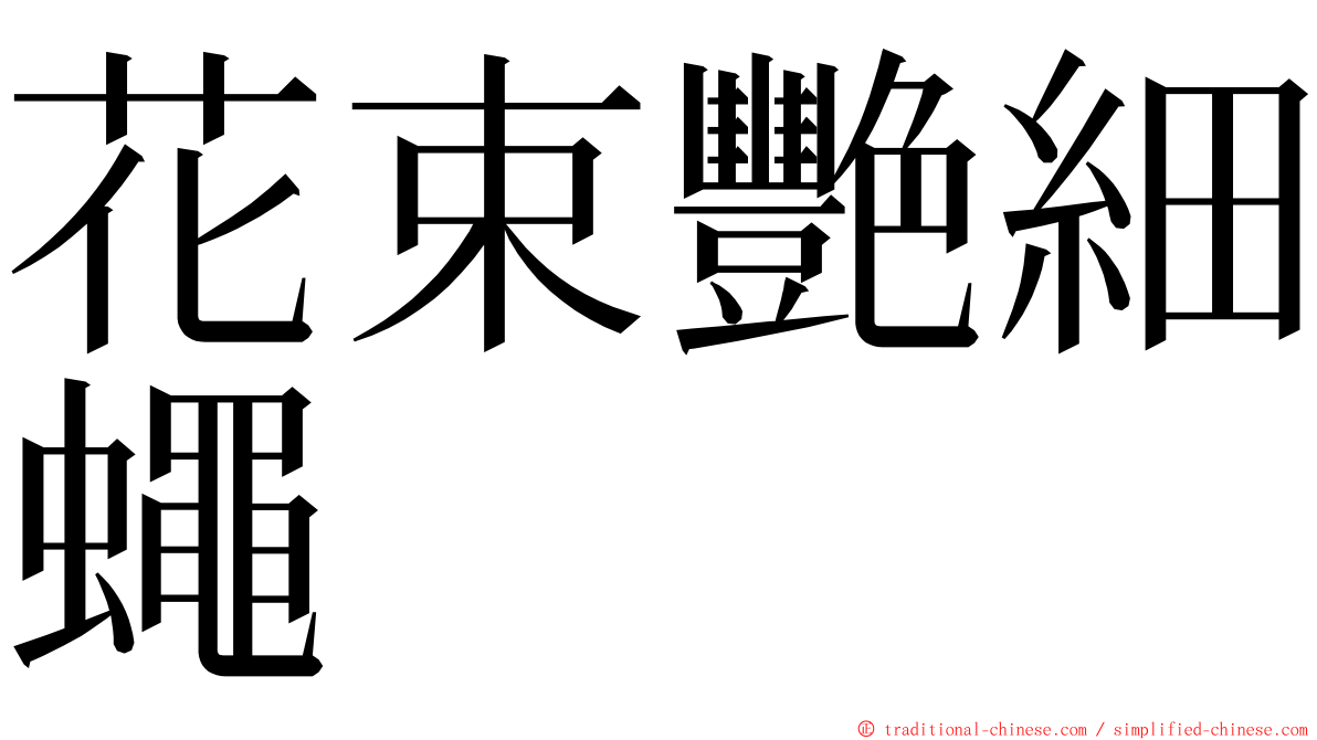 花束艷細蠅 ming font