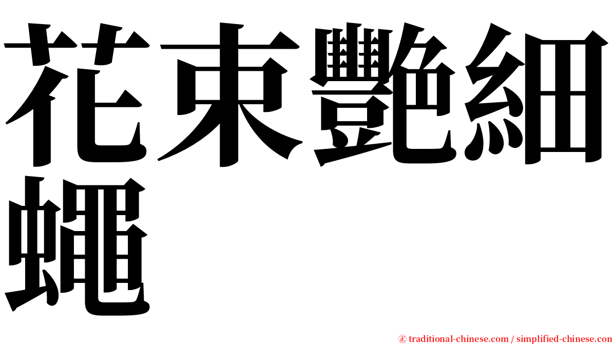 花束艷細蠅 serif font