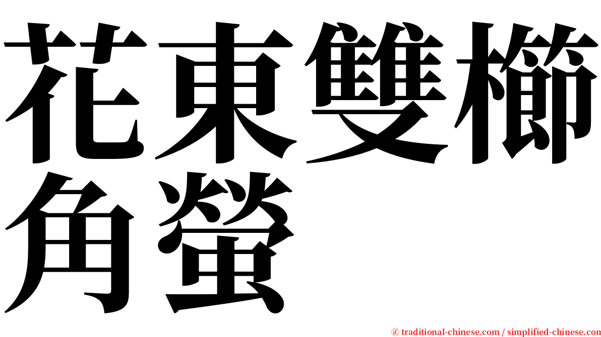 花東雙櫛角螢 serif font