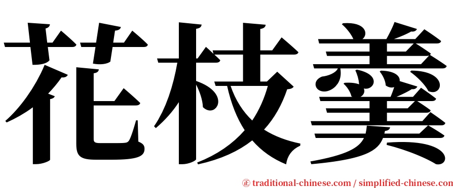 花枝羹 serif font