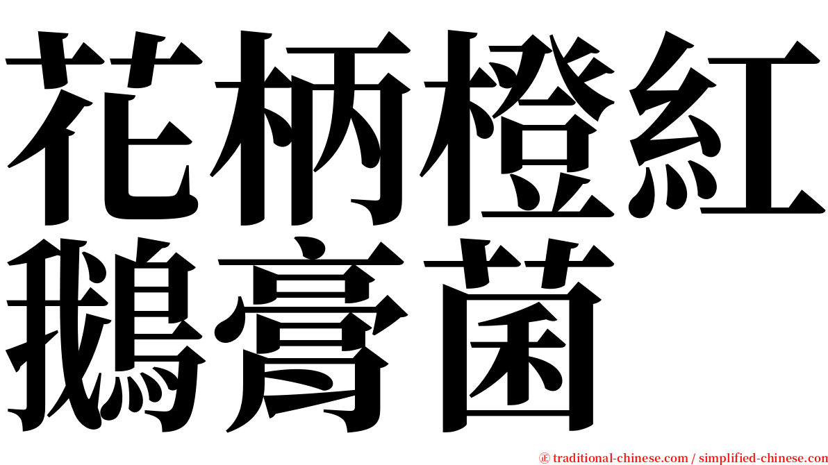 花柄橙紅鵝膏菌 serif font