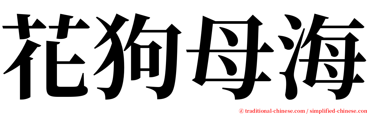 花狗母海 serif font