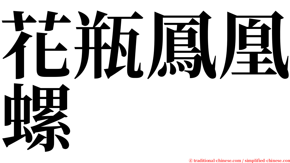 花瓶鳳凰螺 serif font