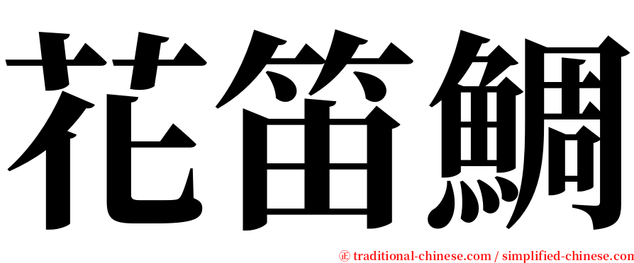 花笛鯛 serif font