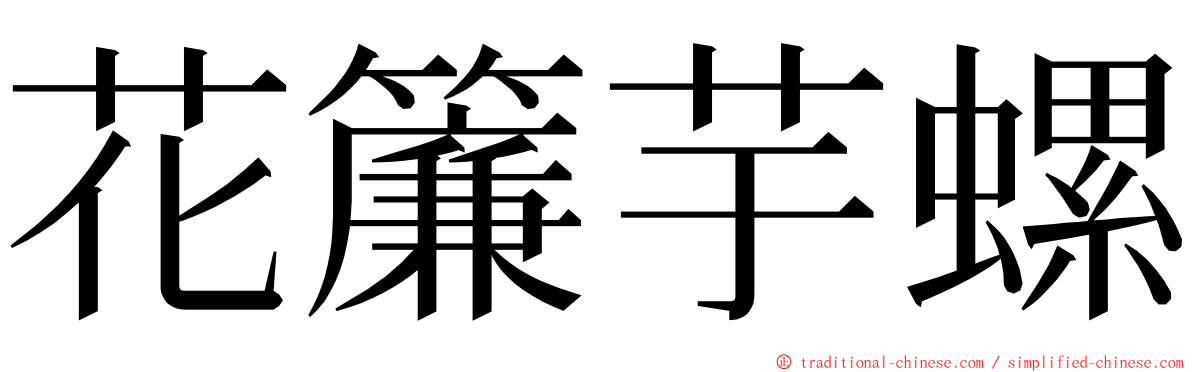 花簾芋螺 ming font