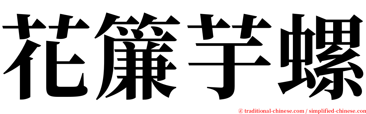 花簾芋螺 serif font