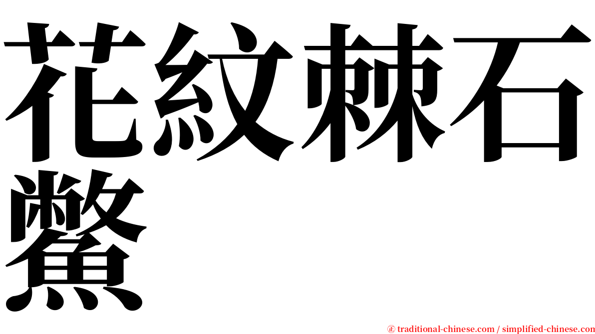 花紋棘石鱉 serif font