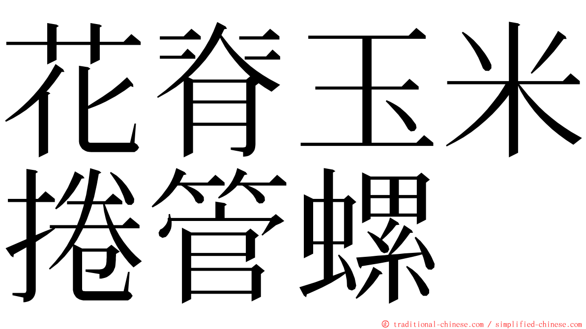 花脊玉米捲管螺 ming font