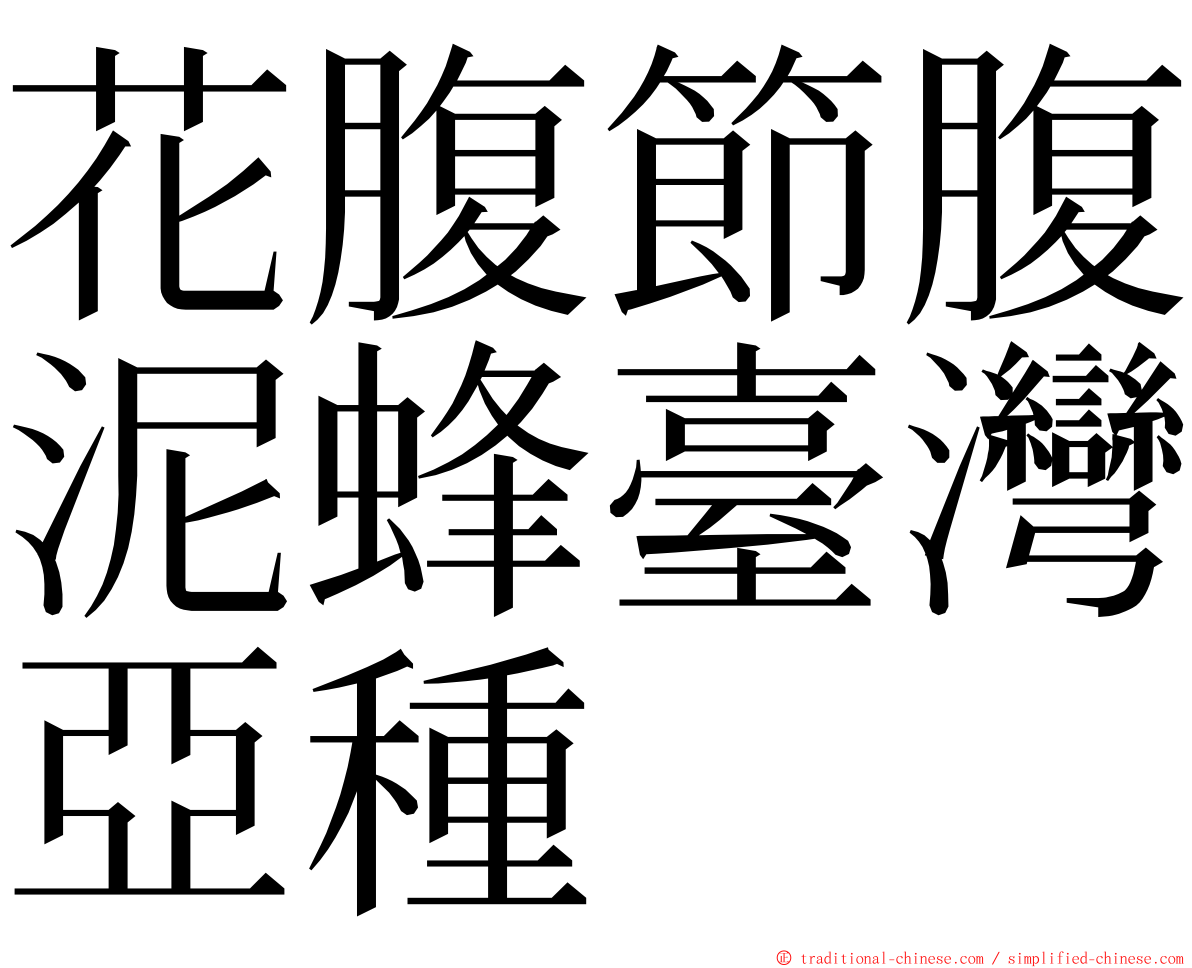 花腹節腹泥蜂臺灣亞種 ming font