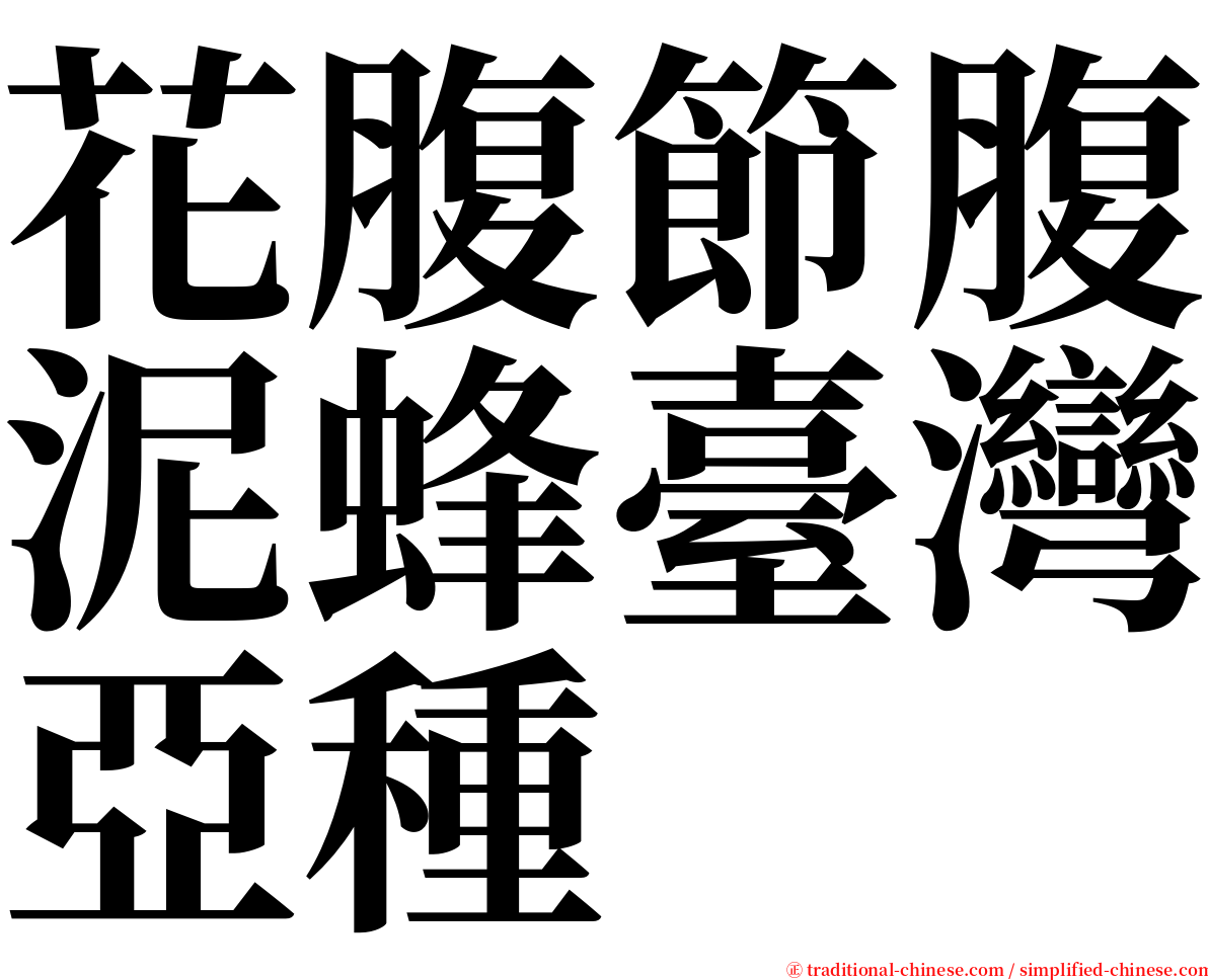 花腹節腹泥蜂臺灣亞種 serif font